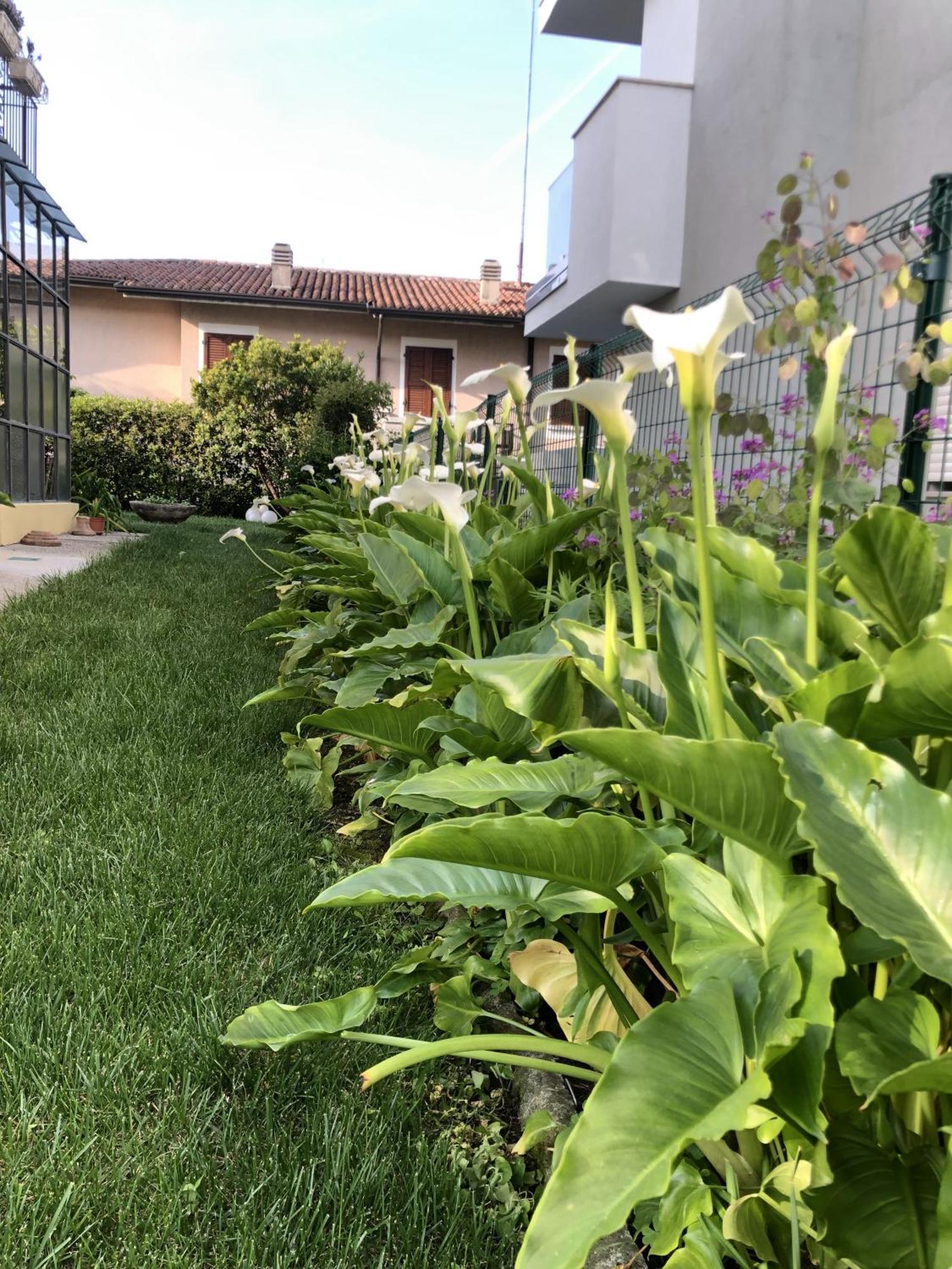 Casa Sivori Sul Lago Di Garda Con Ampio Giardino Desenzano del Garda Bagian luar foto
