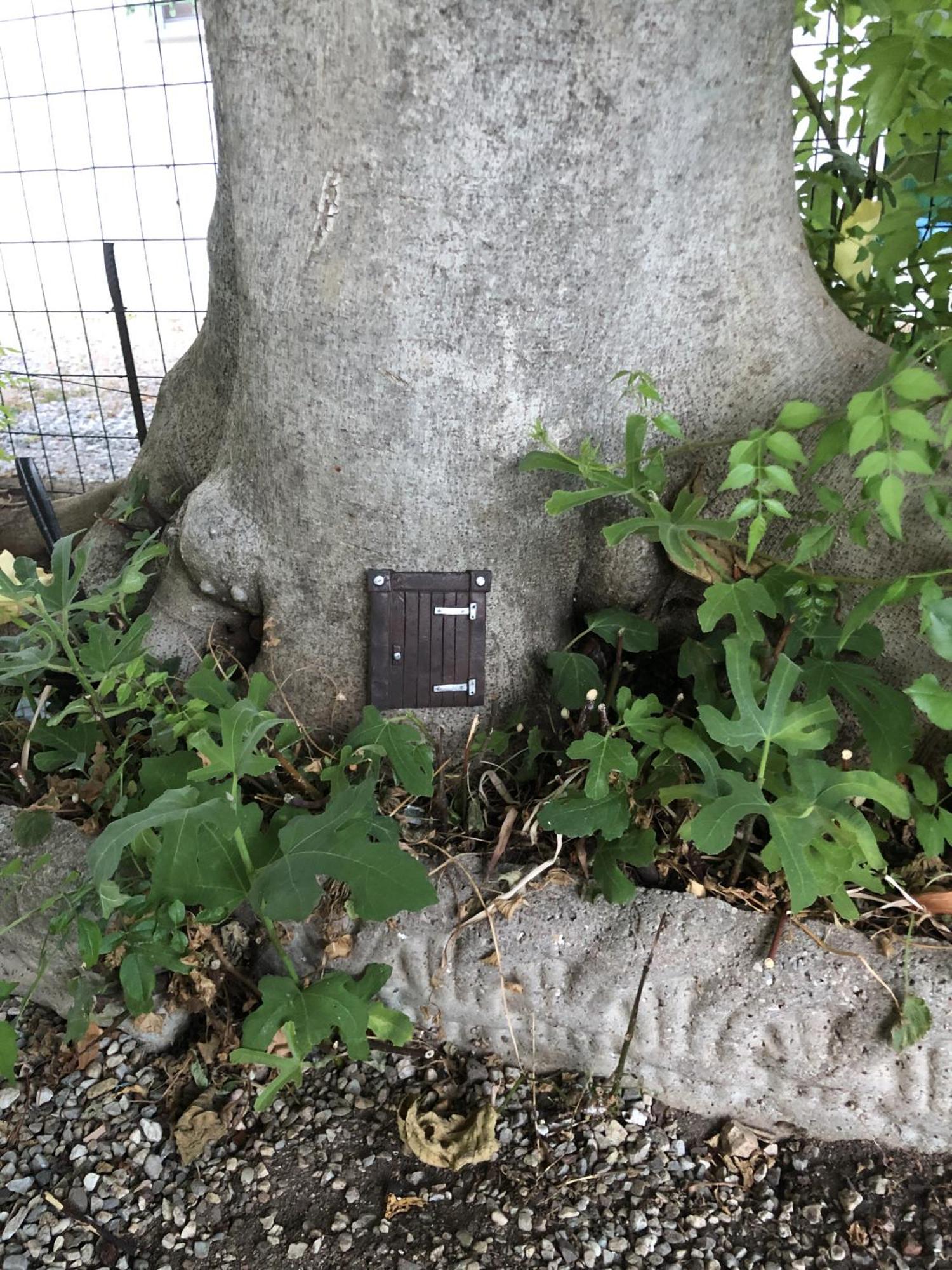 Casa Sivori Sul Lago Di Garda Con Ampio Giardino Desenzano del Garda Bagian luar foto
