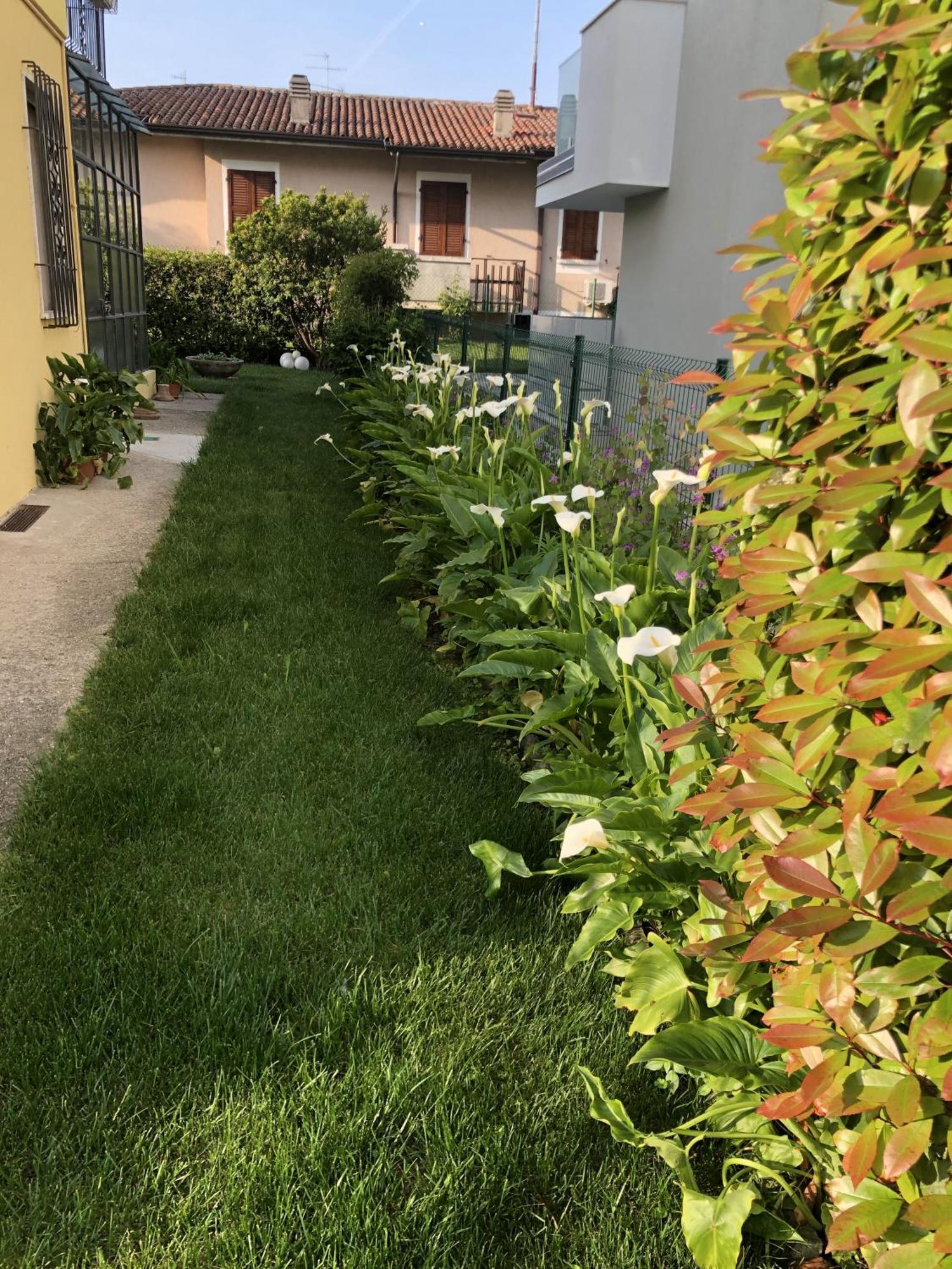 Casa Sivori Sul Lago Di Garda Con Ampio Giardino Desenzano del Garda Bagian luar foto